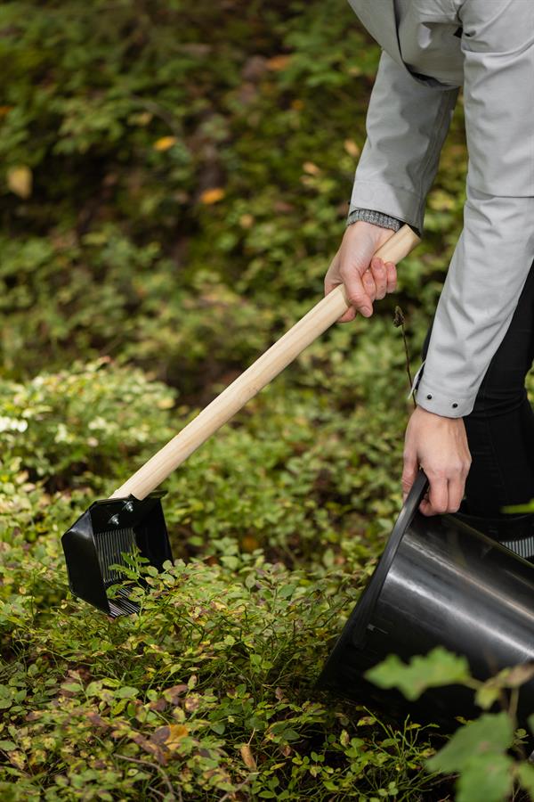 Bärräfsa, Pro Harvester, 53 cm lang